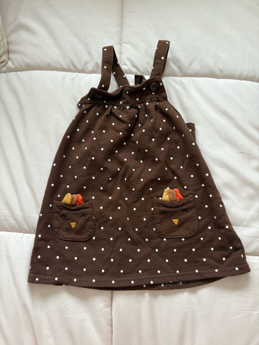Carter’s Thanksgiving Dress